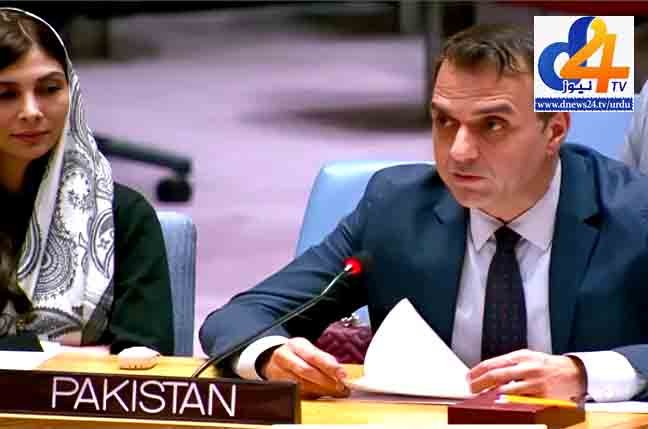 ٹی ٹی پی دہشت گردی کے ایجنڈے میں القاعدہ کا حصہ بن سکتی ہے، پاکستان